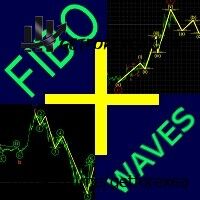 fibopluswaves-logo-200x200-9604