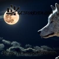 gerfx-nightwalker-ea-logo-200x200-5480